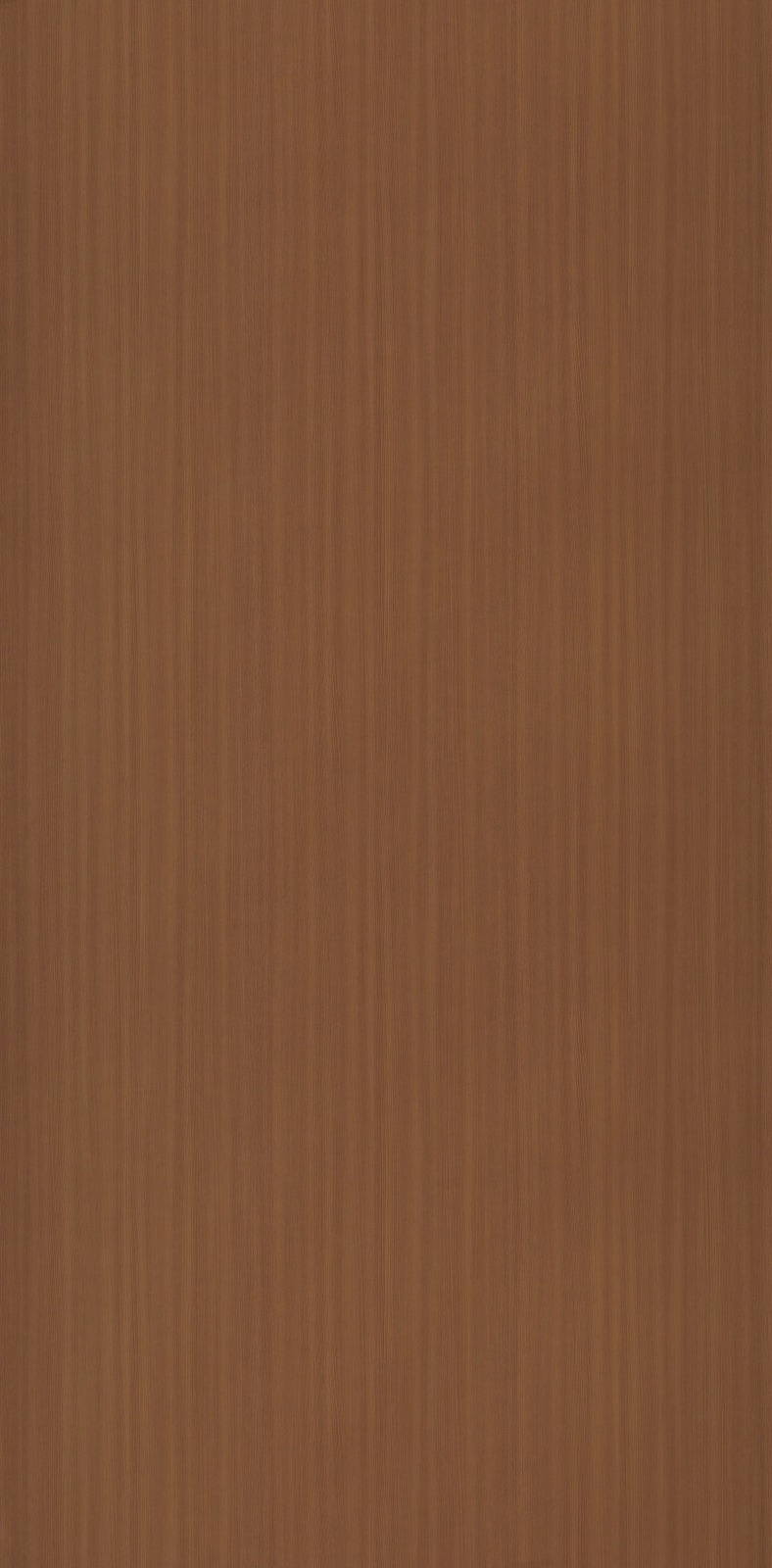 1204